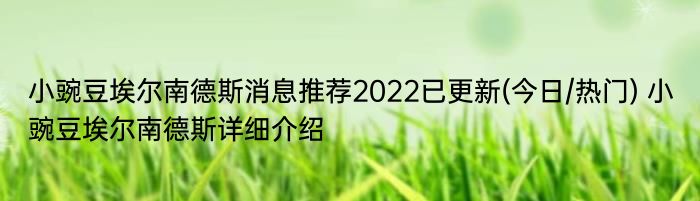 小豌豆埃尔南德斯消息推荐2022已更新(今日/热门) 小豌豆埃尔南德斯详细介绍