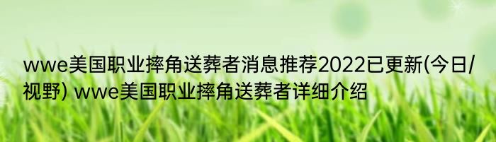 wwe美国职业摔角送葬者消息推荐2022已更新(今日/视野) wwe美国职业摔角送葬者详细介绍