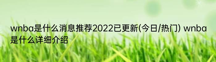 wnba是什么消息推荐2022已更新(今日/热门) wnba是什么详细介绍