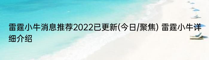 雷霆小牛消息推荐2022已更新(今日/聚焦) 雷霆小牛详细介绍