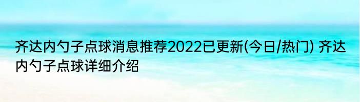 齐达内勺子点球消息推荐2022已更新(今日/热门) 齐达内勺子点球详细介绍