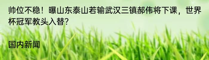 帅位不稳！曝山东泰山若输武汉三镇郝伟将下课，世界杯冠军教头入替？|国内新闻  