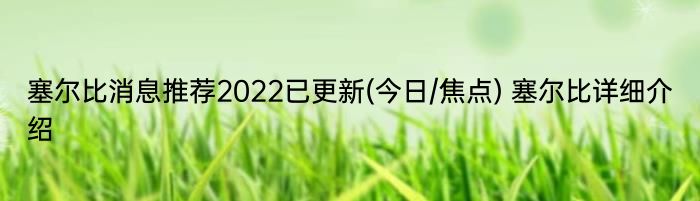 塞尔比消息推荐2022已更新(今日/焦点) 塞尔比详细介绍