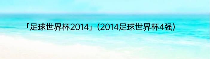 「足球世界杯2014」(2014足球世界杯4强) 