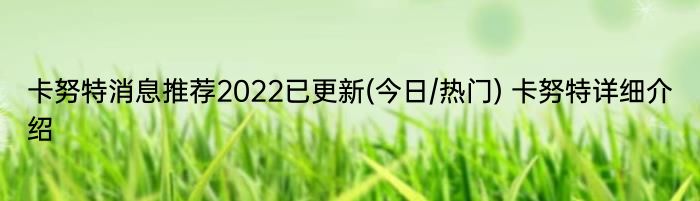 卡努特消息推荐2022已更新(今日/热门) 卡努特详细介绍