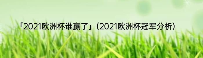 「2021欧洲杯谁赢了」(2021欧洲杯冠军分析) 