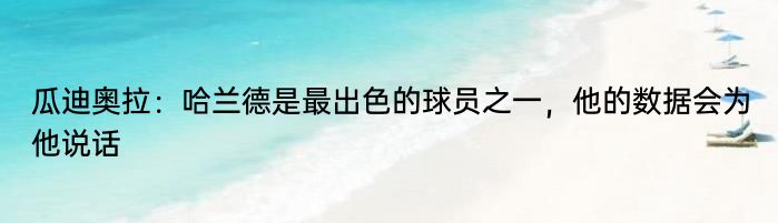 瓜迪奥拉：哈兰德是最出色的球员之一，他的数据会为他说话