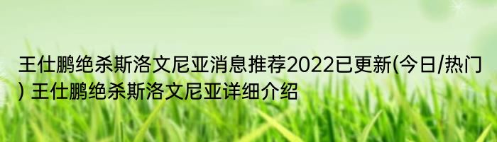 王仕鹏绝杀斯洛文尼亚消息推荐2022已更新(今日/热门) 王仕鹏绝杀斯洛文尼亚详细介绍