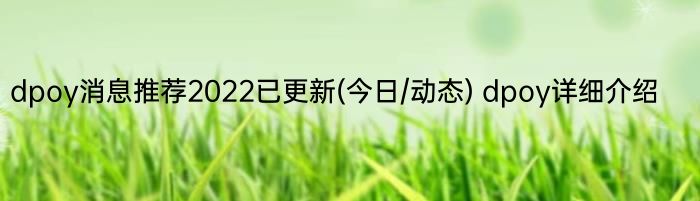 dpoy消息推荐2022已更新(今日/动态) dpoy详细介绍