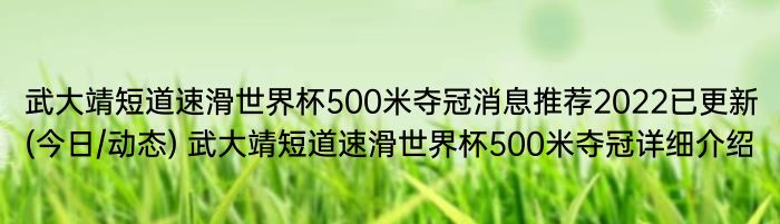 武大靖短道速滑世界杯500米夺冠消息推荐2022已更新(今日/动态) 武大靖短道速滑世界杯500米夺冠详细介绍