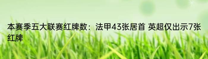 本赛季五大联赛红牌数：法甲43张居首 英超仅出示7张红牌