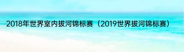 2018年世界室内拔河锦标赛（2019世界拔河锦标赛）