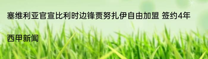 塞维利亚官宣比利时边锋贾努扎伊自由加盟 签约4年|西甲新闻  