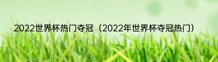 2022世界杯热门夺冠（2022年世界杯夺冠热门）