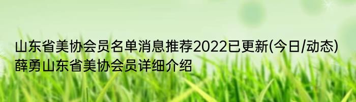 山东省美协会员名单消息推荐2022已更新(今日/动态) 薛勇山东省美协会员详细介绍