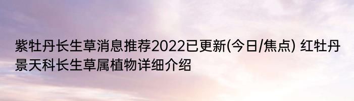 紫牡丹长生草消息推荐2022已更新(今日/焦点) 红牡丹景天科长生草属植物详细介绍