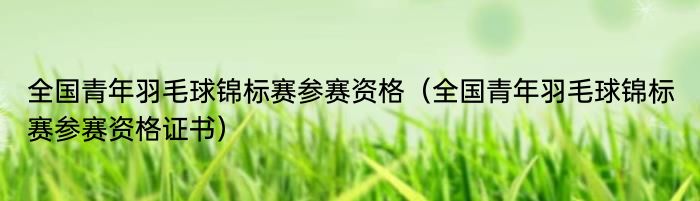 全国青年羽毛球锦标赛参赛资格（全国青年羽毛球锦标赛参赛资格证书）