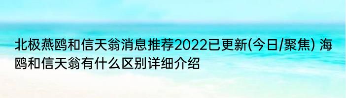 北极燕鸥和信天翁消息推荐2022已更新(今日/聚焦) 海鸥和信天翁有什么区别详细介绍