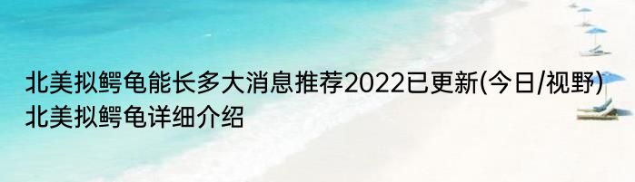 北美拟鳄龟能长多大消息推荐2022已更新(今日/视野) 北美拟鳄龟详细介绍