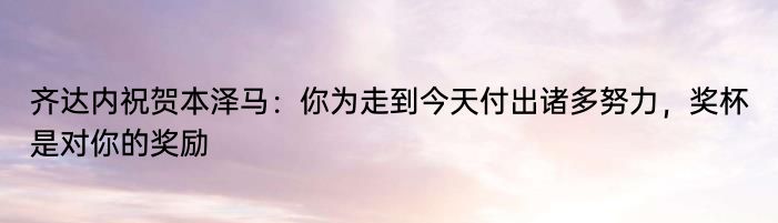 齐达内祝贺本泽马：你为走到今天付出诸多努力，奖杯是对你的奖励