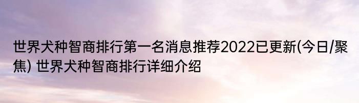 世界犬种智商排行第一名消息推荐2022已更新(今日/聚焦) 世界犬种智商排行详细介绍