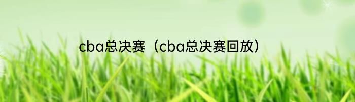 cba总决赛（cba总决赛回放）