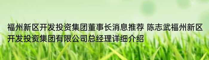 福州新区开发投资集团董事长消息推荐 陈志武福州新区开发投资集团有限公司总经理详细介绍