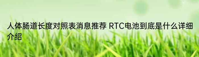 人体肠道长度对照表消息推荐 RTC电池到底是什么详细介绍