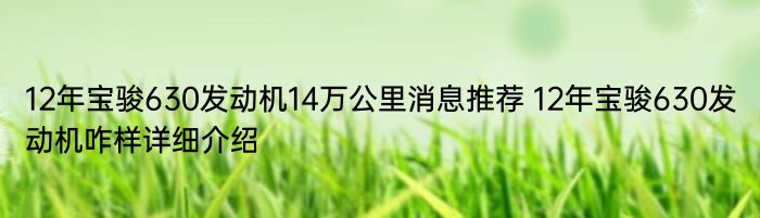 12年宝骏630发动机14万公里消息推荐 12年宝骏630发动机咋样详细介绍