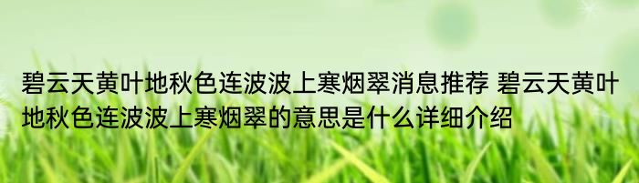 碧云天黄叶地秋色连波波上寒烟翠消息推荐 碧云天黄叶地秋色连波波上寒烟翠的意思是什么详细介绍