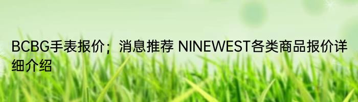 BCBG手表报价；消息推荐 NINEWEST各类商品报价详细介绍