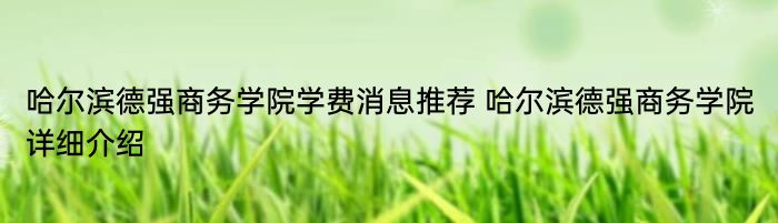 哈尔滨德强商务学院学费消息推荐 哈尔滨德强商务学院详细介绍