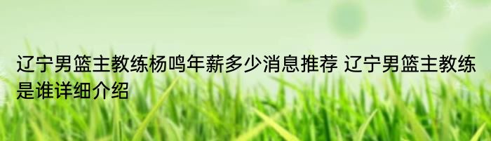 辽宁男篮主教练杨鸣年薪多少消息推荐 辽宁男篮主教练是谁详细介绍