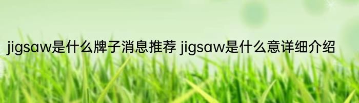 jigsaw是什么牌子消息推荐 jigsaw是什么意详细介绍