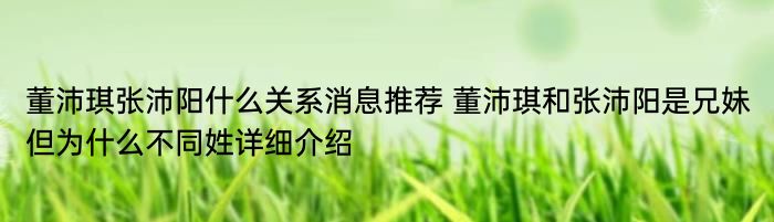 董沛琪张沛阳什么关系消息推荐 董沛琪和张沛阳是兄妹但为什么不同姓详细介绍