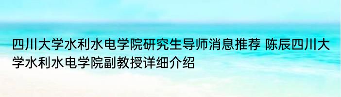 四川大学水利水电学院研究生导师消息推荐 陈辰四川大学水利水电学院副教授详细介绍