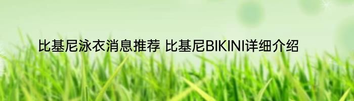 比基尼泳衣消息推荐 比基尼BIKINI详细介绍