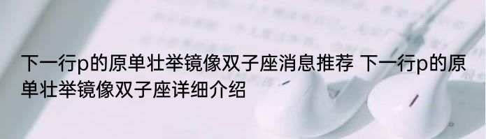 下一行p的原单壮举镜像双子座消息推荐 下一行p的原单壮举镜像双子座详细介绍