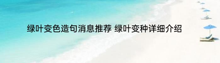 绿叶变色造句消息推荐 绿叶变种详细介绍