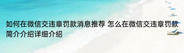 如何在微信交违章罚款消息推荐 怎么在微信交违章罚款简介介绍详细介绍