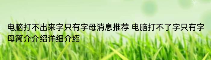 电脑打不出来字只有字母消息推荐 电脑打不了字只有字母简介介绍详细介绍