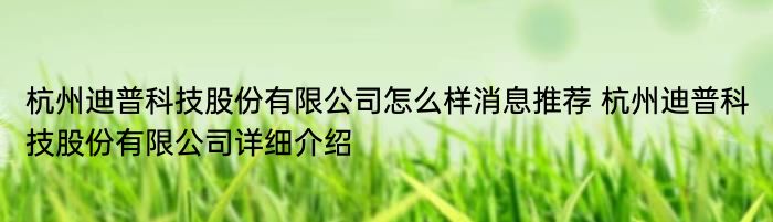 杭州迪普科技股份有限公司怎么样消息推荐 杭州迪普科技股份有限公司详细介绍