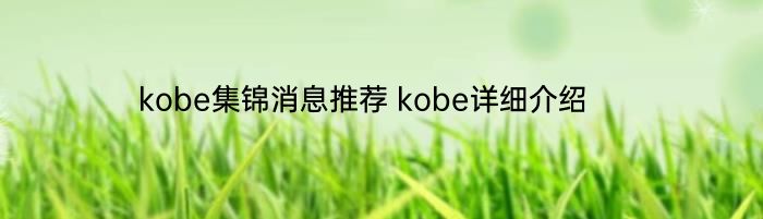 kobe集锦消息推荐 kobe详细介绍