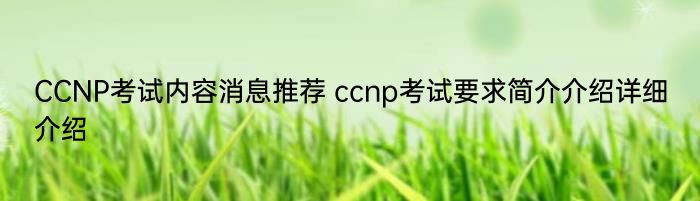 CCNP考试内容消息推荐 ccnp考试要求简介介绍详细介绍