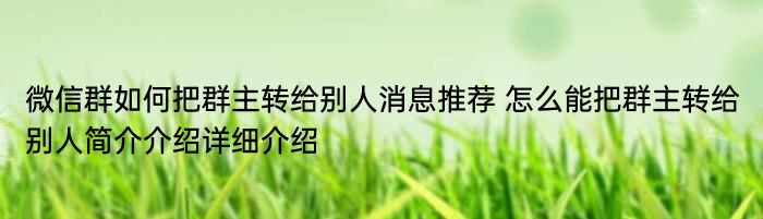 微信群如何把群主转给别人消息推荐 怎么能把群主转给别人简介介绍详细介绍