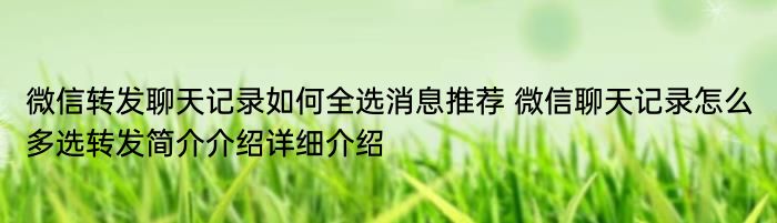 微信转发聊天记录如何全选消息推荐 微信聊天记录怎么多选转发简介介绍详细介绍