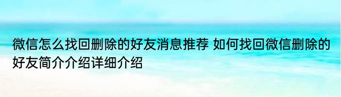 微信怎么找回删除的好友消息推荐 如何找回微信删除的好友简介介绍详细介绍