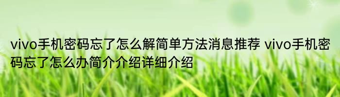 vivo手机密码忘了怎么解简单方法消息推荐 vivo手机密码忘了怎么办简介介绍详细介绍