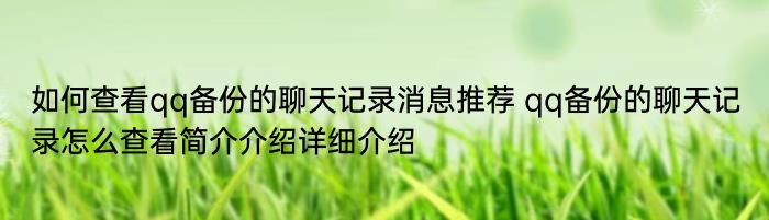 如何查看qq备份的聊天记录消息推荐 qq备份的聊天记录怎么查看简介介绍详细介绍