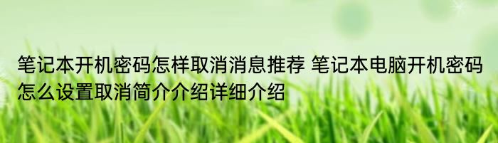 笔记本开机密码怎样取消消息推荐 笔记本电脑开机密码怎么设置取消简介介绍详细介绍